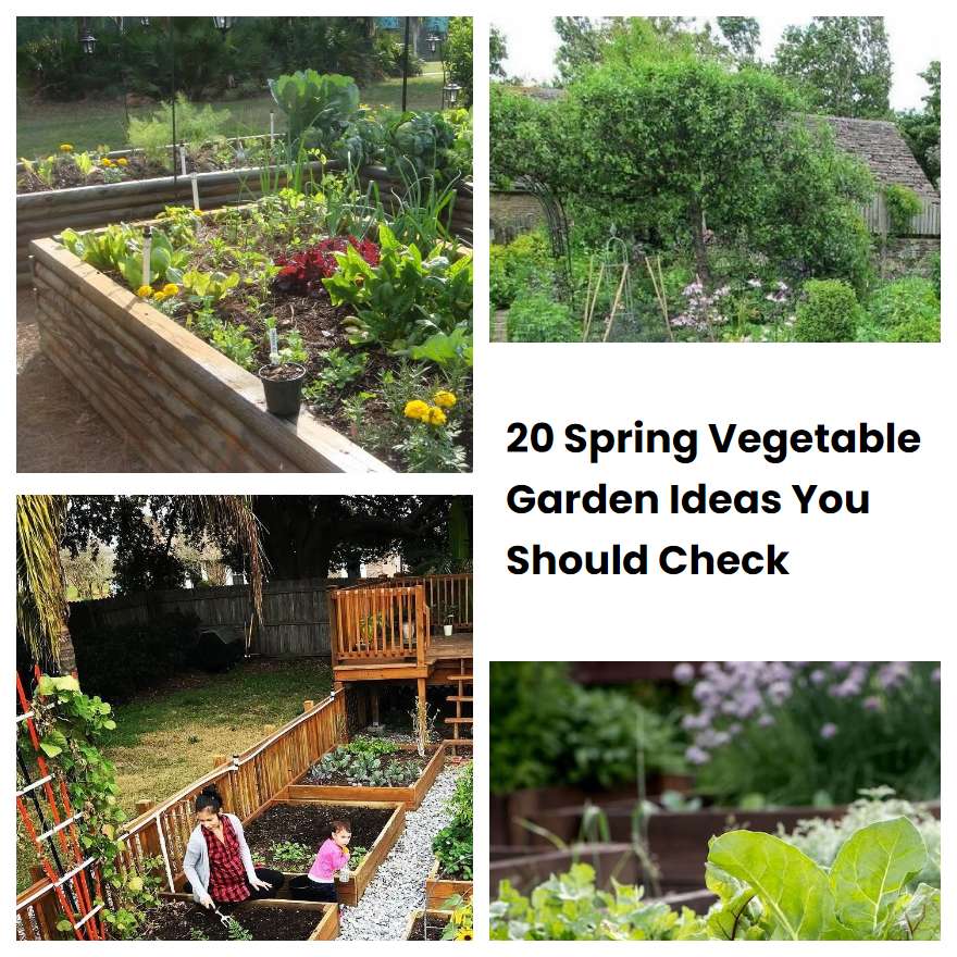 Spring Vegetable Garden Ideas You Should Check Sharonsable