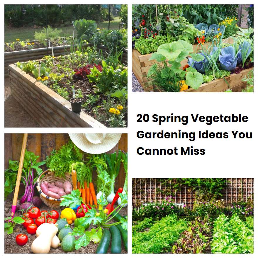 20 Spring Vegetable Gardening Ideas You Cannot Miss | SharonSable