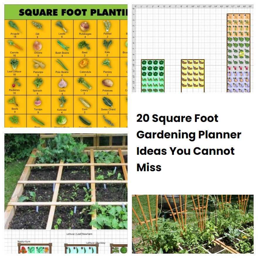 20 Square Foot Gardening Planner Ideas You Cannot Miss | SharonSable