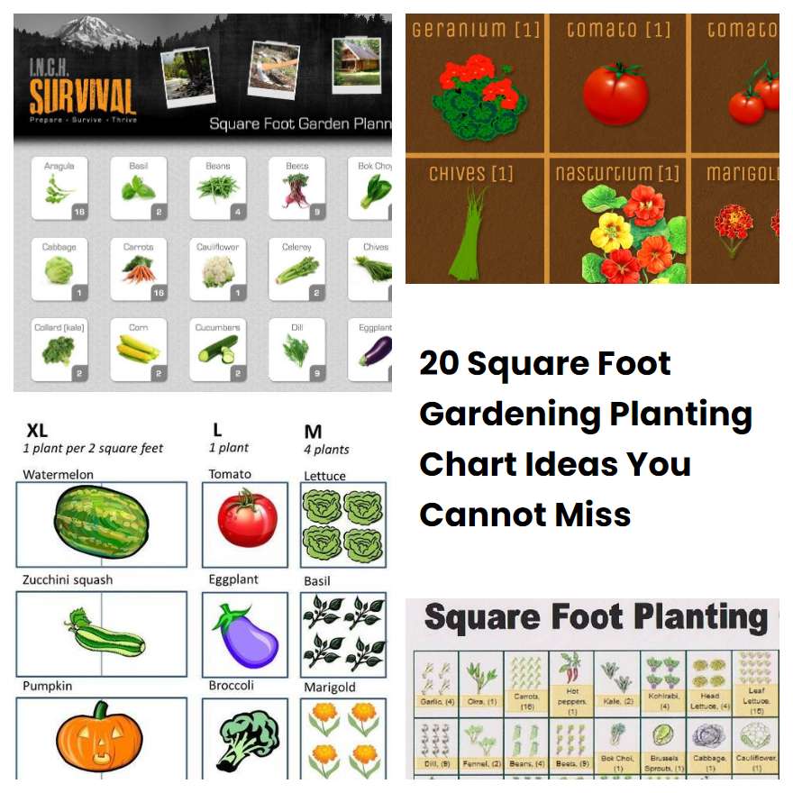 20 Square Foot Gardening Planting Chart Ideas You Cannot Miss | SharonSable