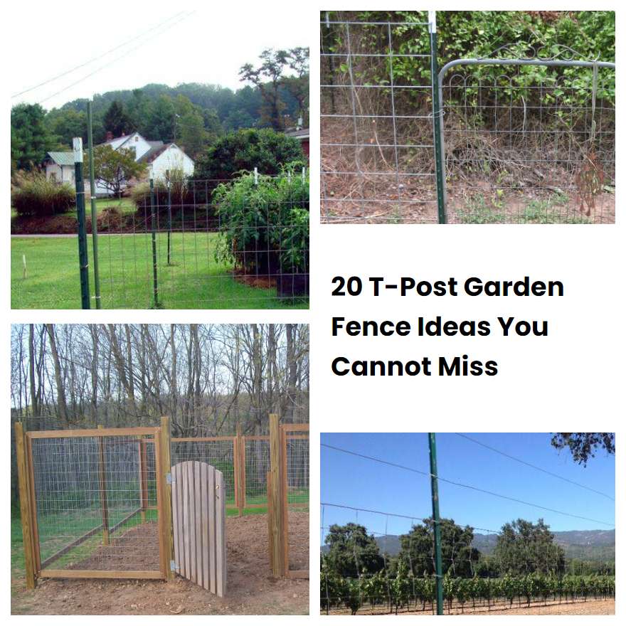 20 T Post Garden Fence Ideas You Cannot Miss Sharonsable 4656