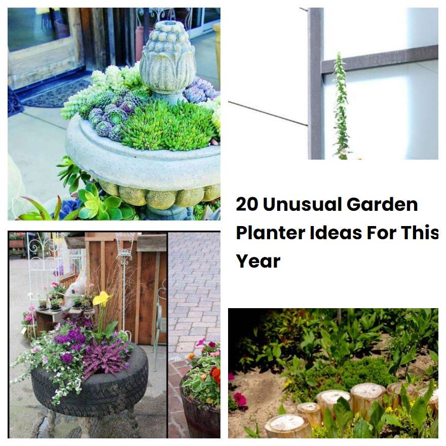 20 Unusual Garden Planter Ideas For This Year | SharonSable