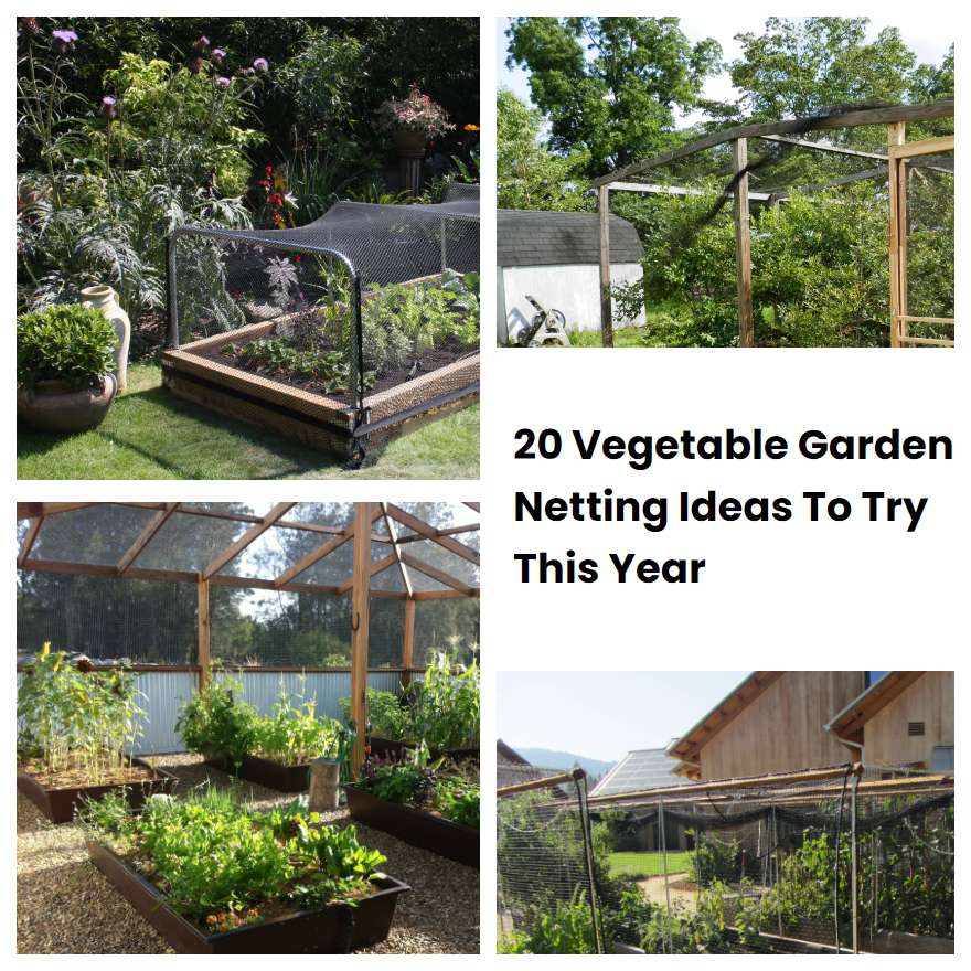 20 Vegetable Garden Netting Ideas To Try This Year