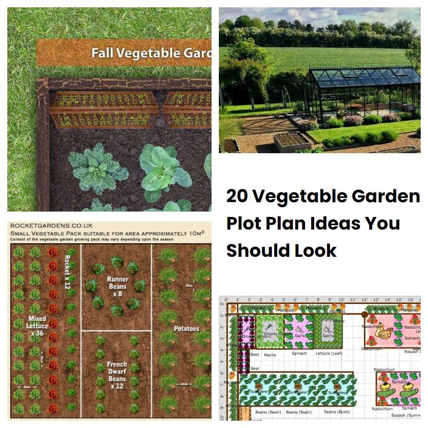 20 Vegetable Garden Plot Plan Ideas You Should Look | SharonSable