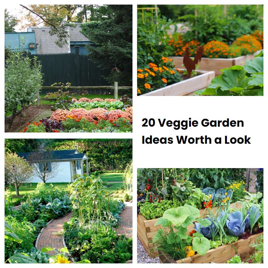 20 Veggie Garden Ideas Worth a Look | SharonSable