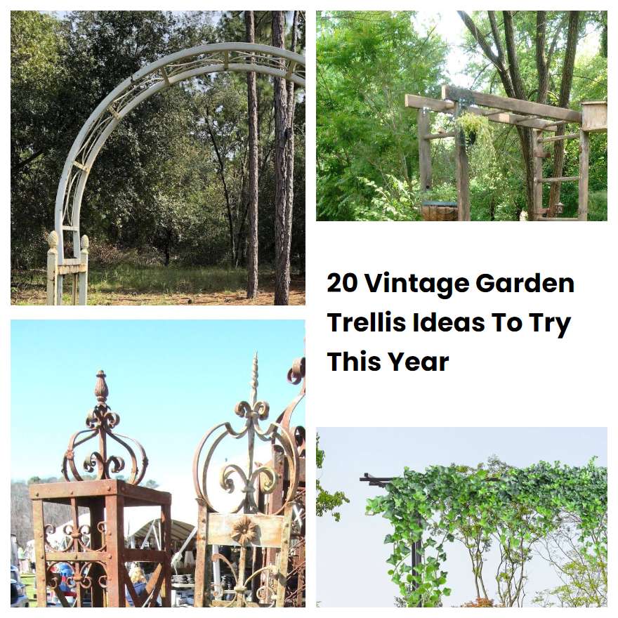 20 Vintage Garden Trellis Ideas To Try This Year Sharonsable