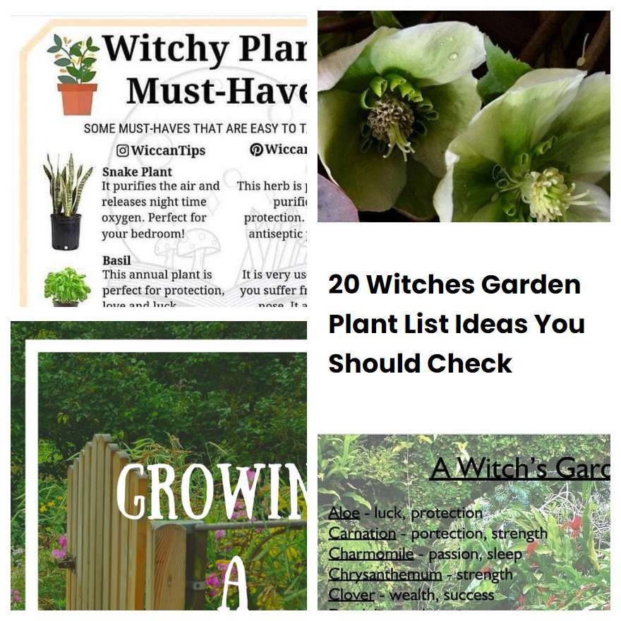 20 Witches Garden Plant List Ideas You Should Check | SharonSable