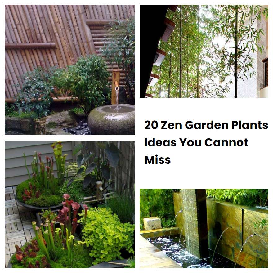 20 Zen Garden Plants Ideas You Cannot Miss SharonSable