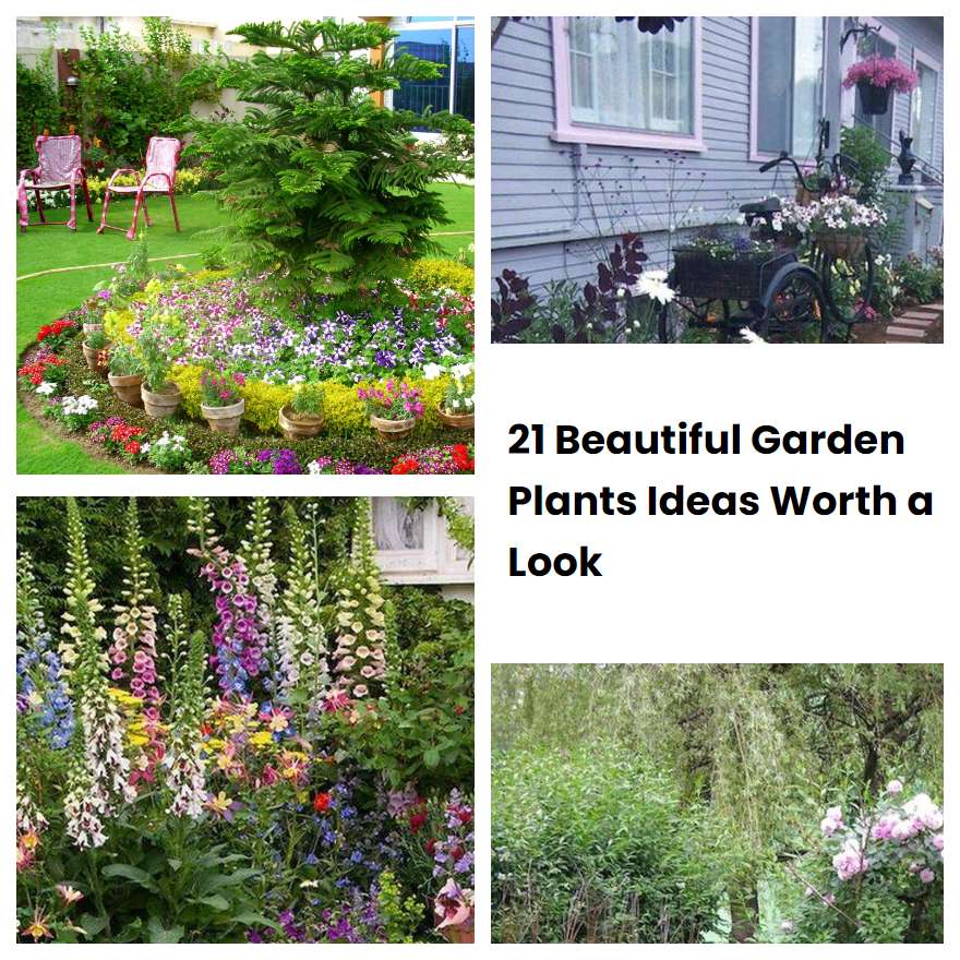 21 Beautiful Garden Plants Ideas Worth a Look | SharonSable