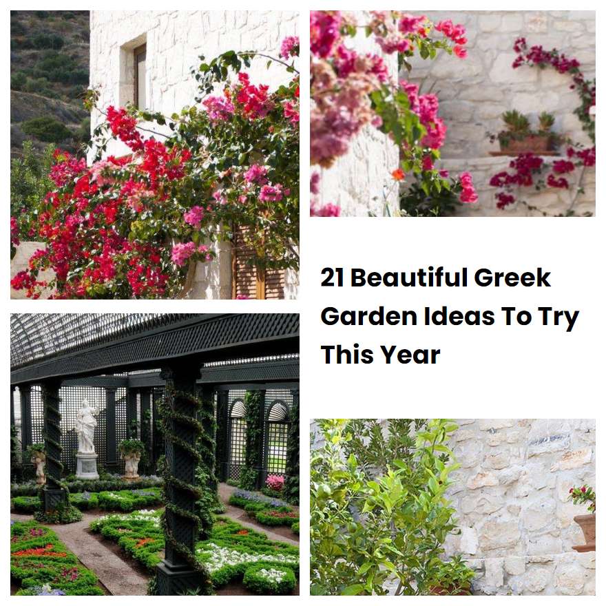 21 Beautiful Greek Garden Ideas To Try This Year | SharonSable