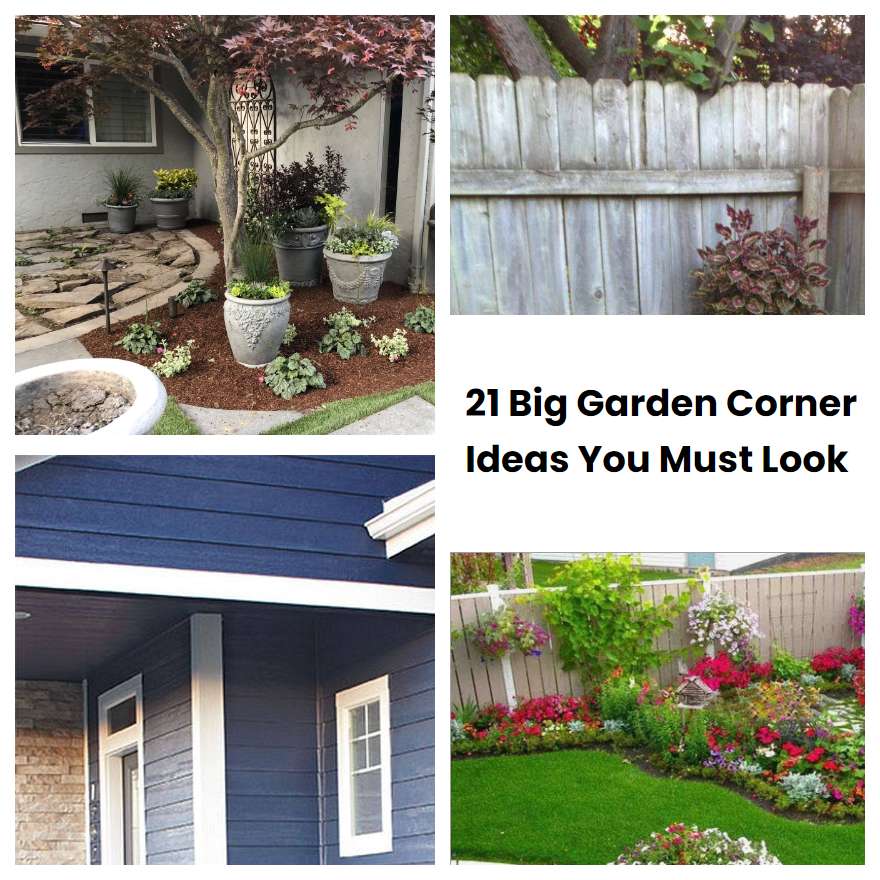 21 Big Garden Corner Ideas You Must Look 