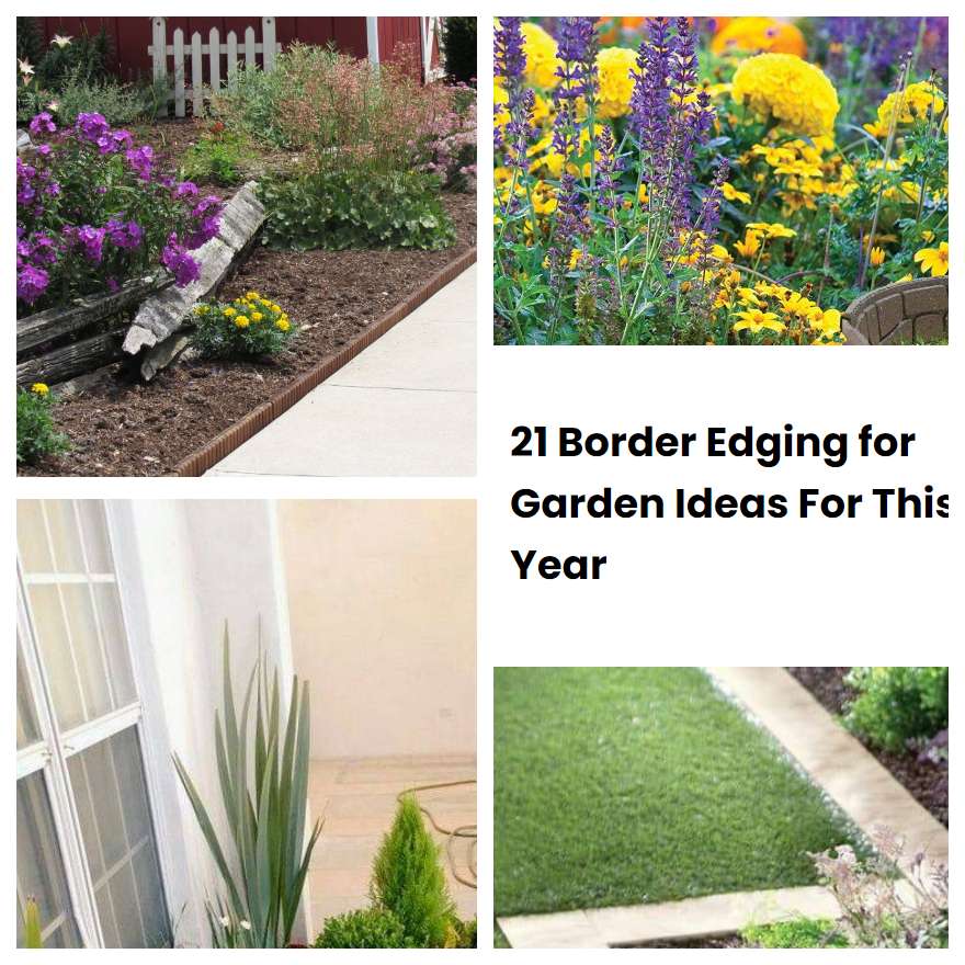 21 Border Edging for Garden Ideas For This Year