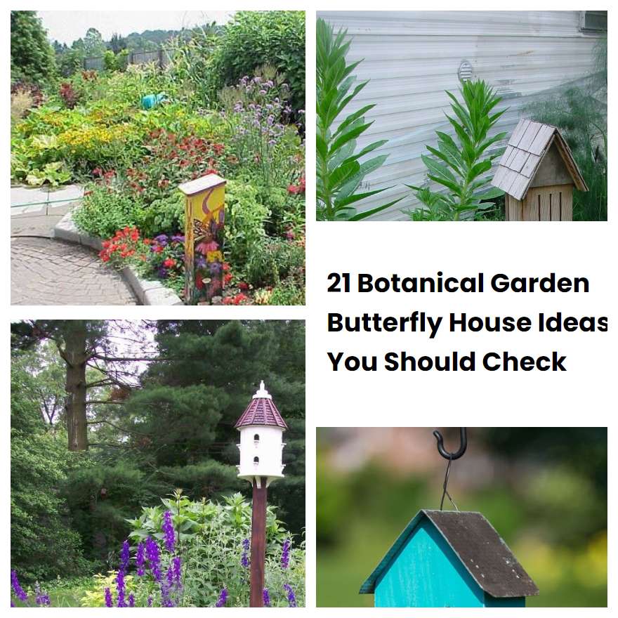 21 Botanical Garden Butterfly House Ideas You Should Check Sharonsable