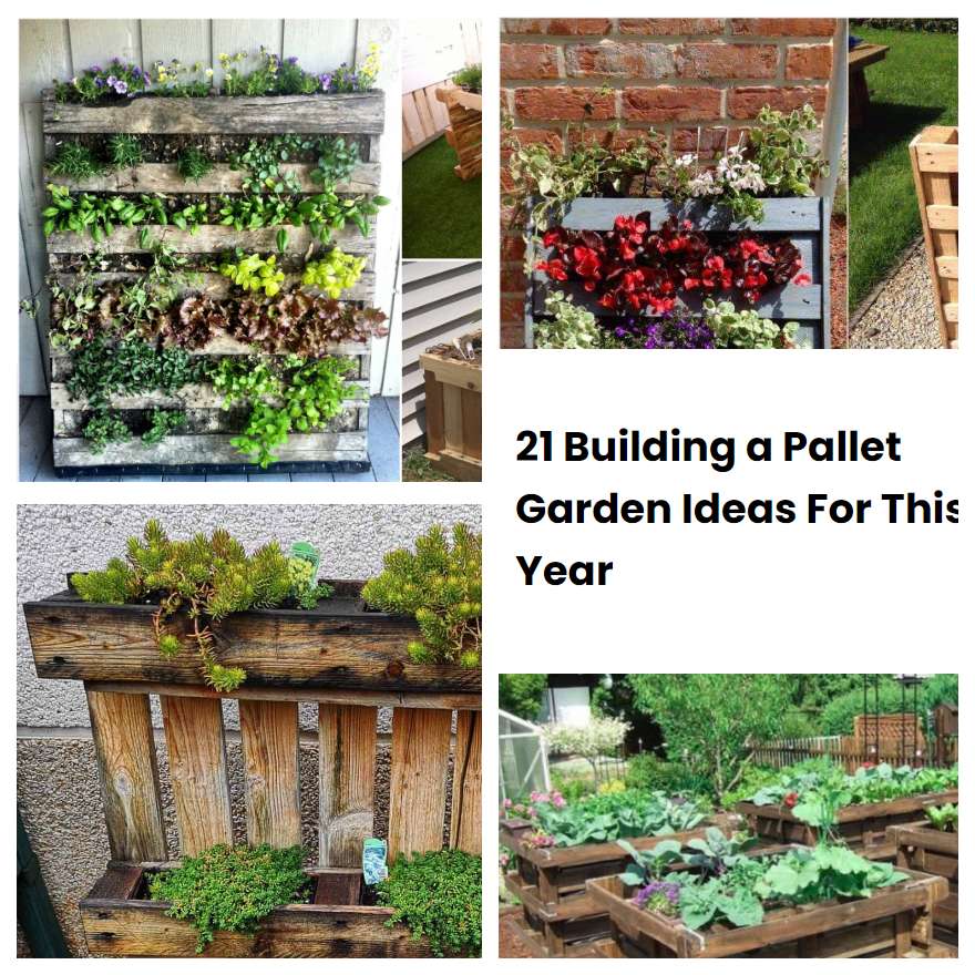 21 Building a Pallet Garden Ideas For This Year | SharonSable