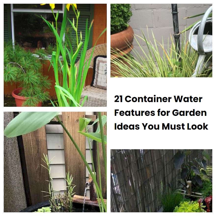 21 Container Water Features for Garden Ideas You Must Look SharonSable