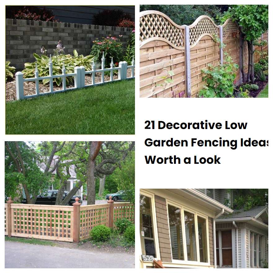 21 Decorative Low Garden Fencing Ideas Worth a Look | SharonSable