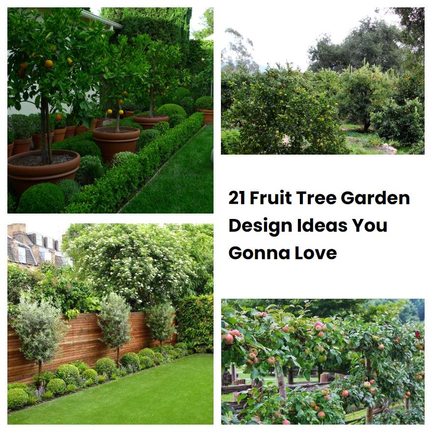 21-fruit-tree-garden-design-ideas-you-gonna-love-sharonsable