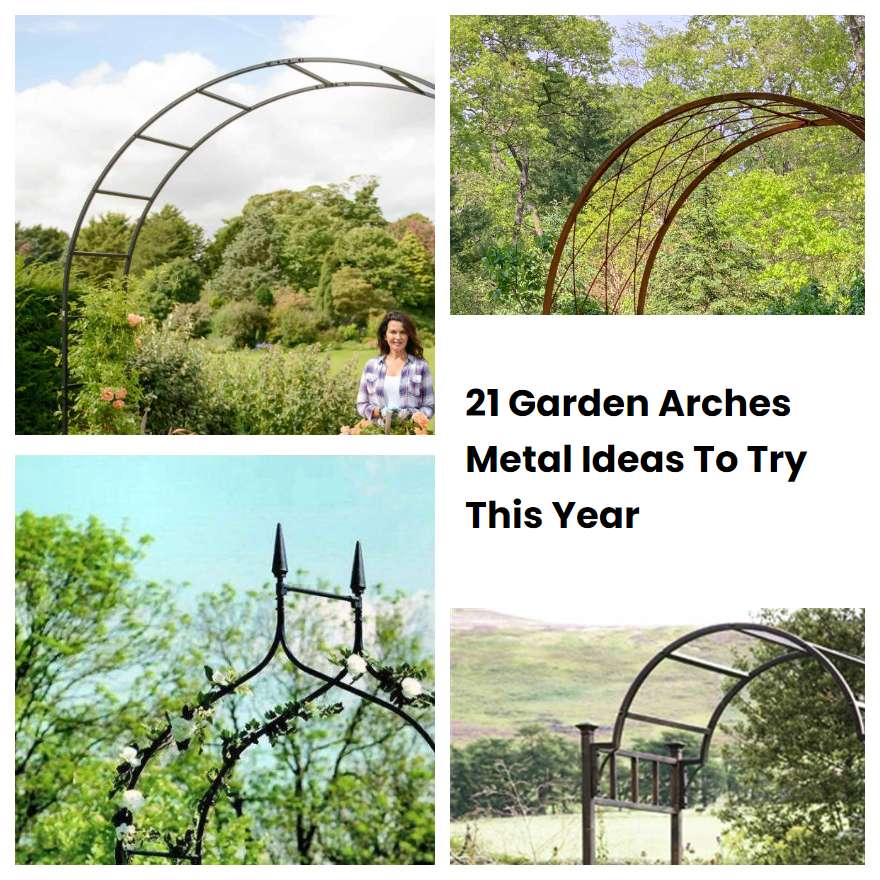 21 Garden Arches Metal Ideas To Try This Year | SharonSable