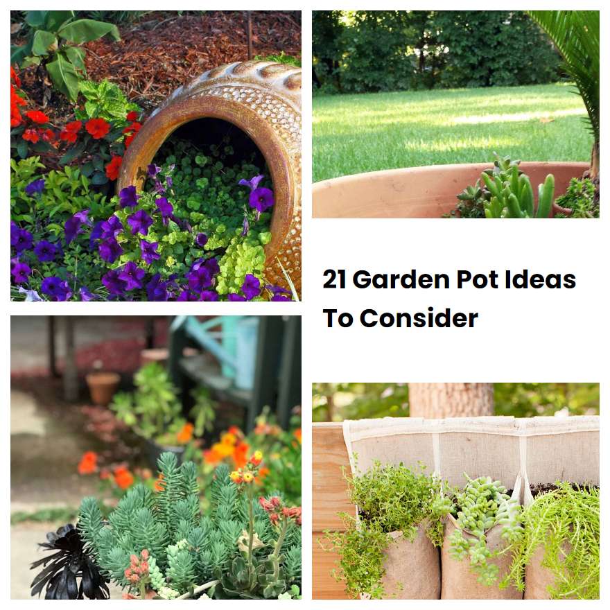 21 Garden Pot Ideas To Consider | SharonSable