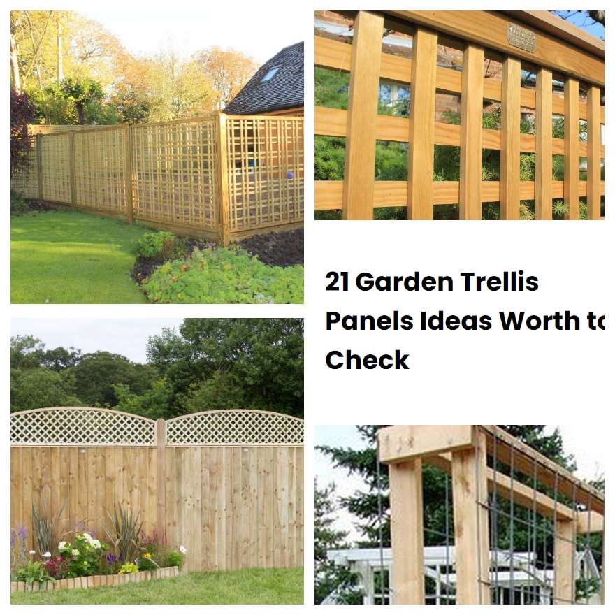 21 Garden Trellis Panels Ideas Worth to Check