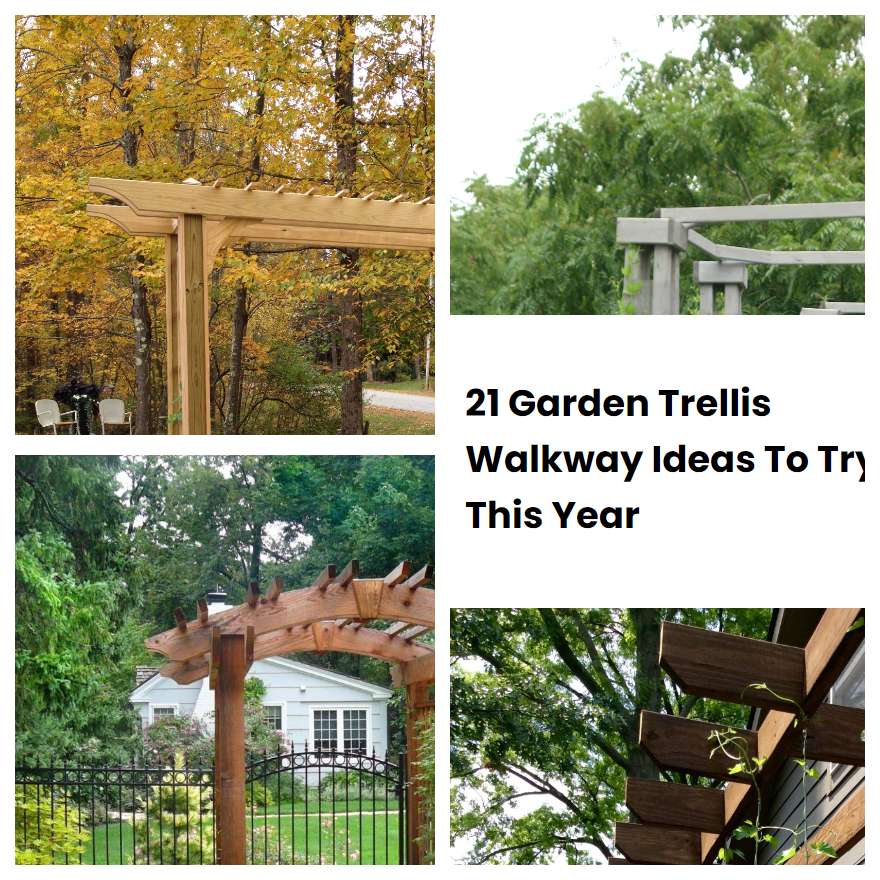 21 Garden Trellis Walkway Ideas To Try This Year | SharonSable