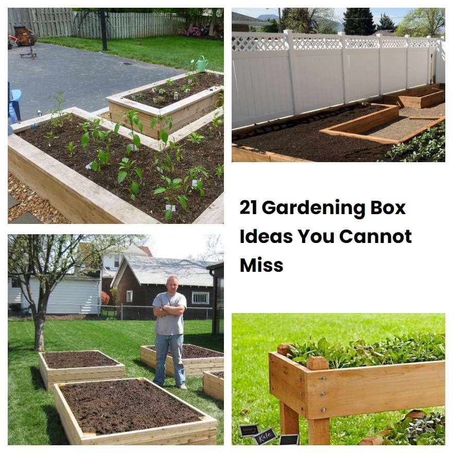 21 Gardening Box Ideas You Cannot Miss | SharonSable