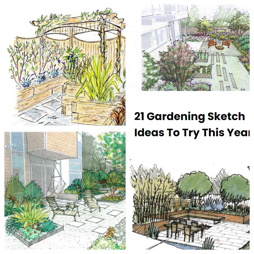 21 Gardening Sketch Ideas To Try This Year