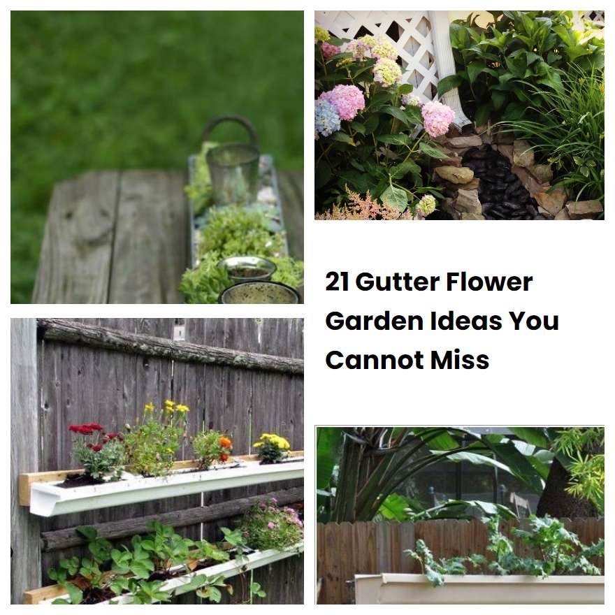 21 Gutter Flower Garden Ideas You Cannot Miss