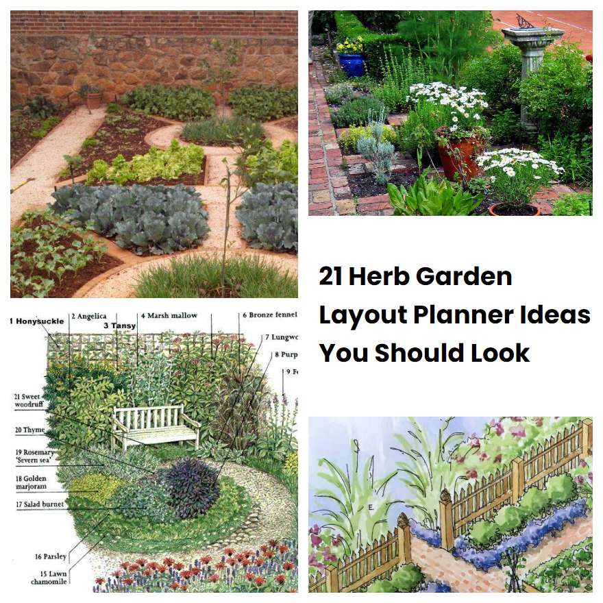 21 Herb Garden Layout Planner Ideas You Should Look SharonSable