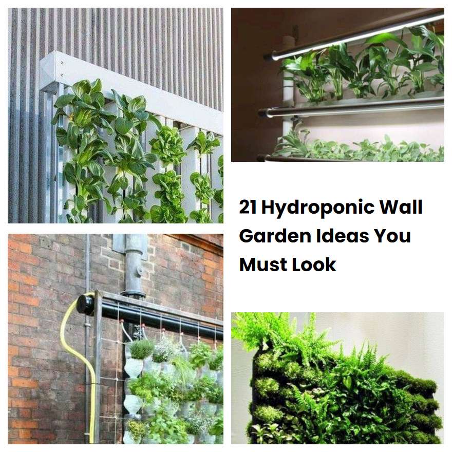 21 Hydroponic Wall Garden Ideas You Must Look | SharonSable