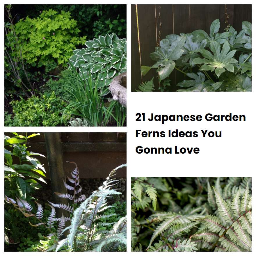 21 Japanese Garden Ferns Ideas You Gonna Love | SharonSable