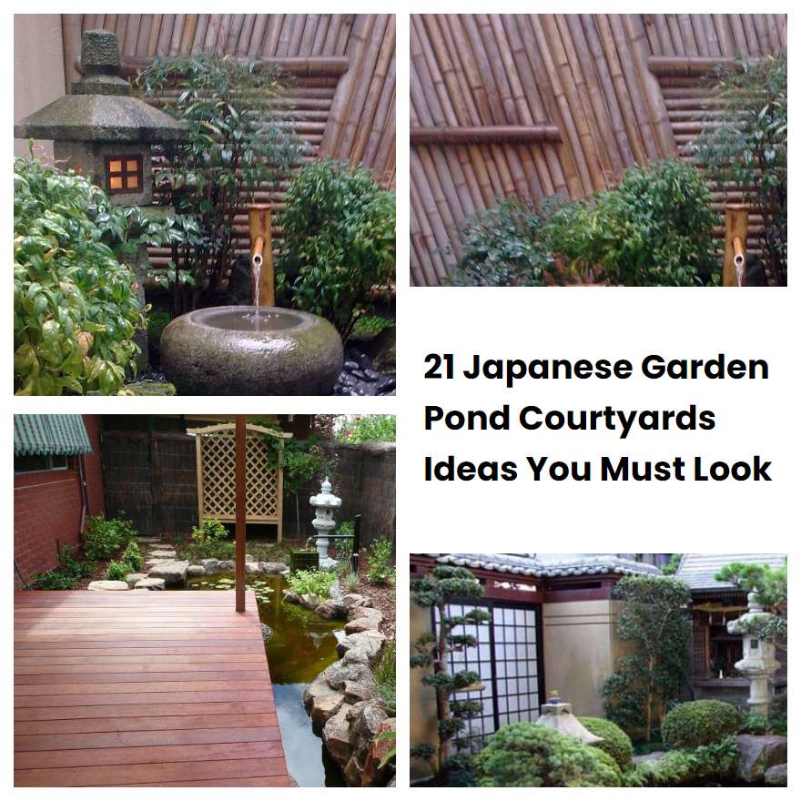 21 Japanese Garden Pond Courtyards Ideas You Must Look | SharonSable