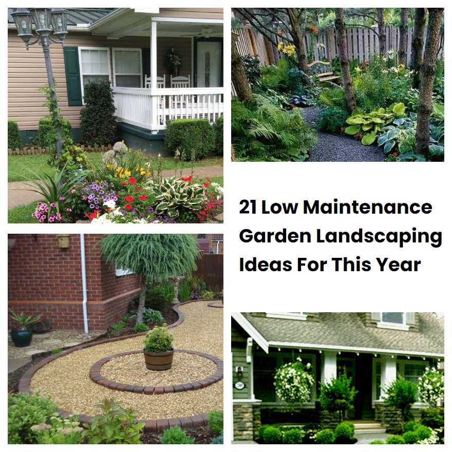 21 Low Maintenance Garden Landscaping Ideas For This Year | SharonSable