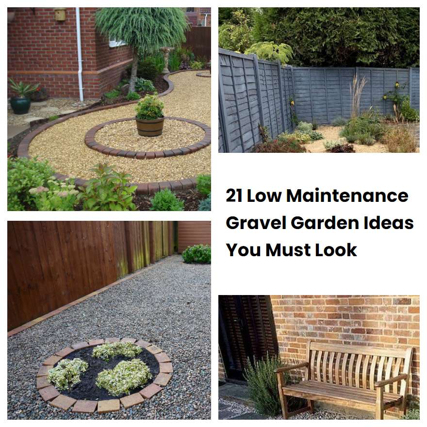 21 Low Maintenance Gravel Garden Ideas You Must Look Sharonsable