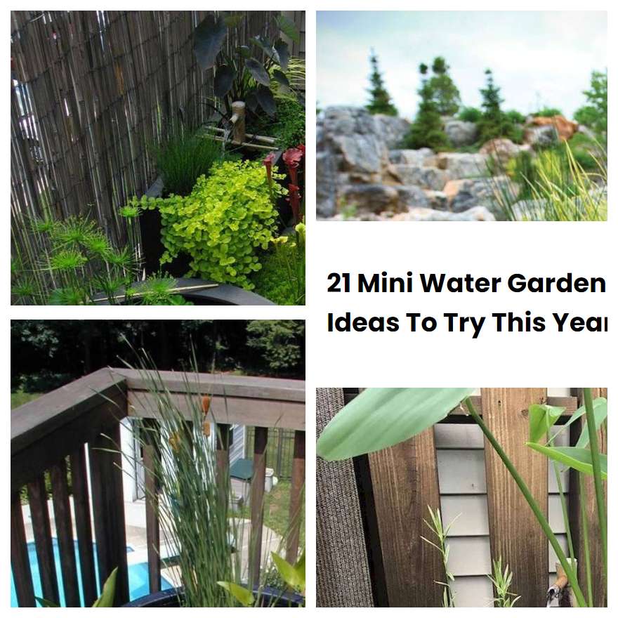 21 Mini Water Garden Ideas To Try This Year | SharonSable