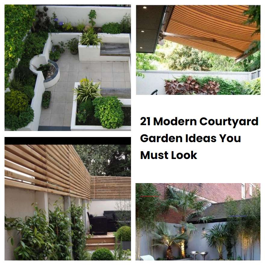 21 Modern Courtyard Garden Ideas You Must Look | SharonSable