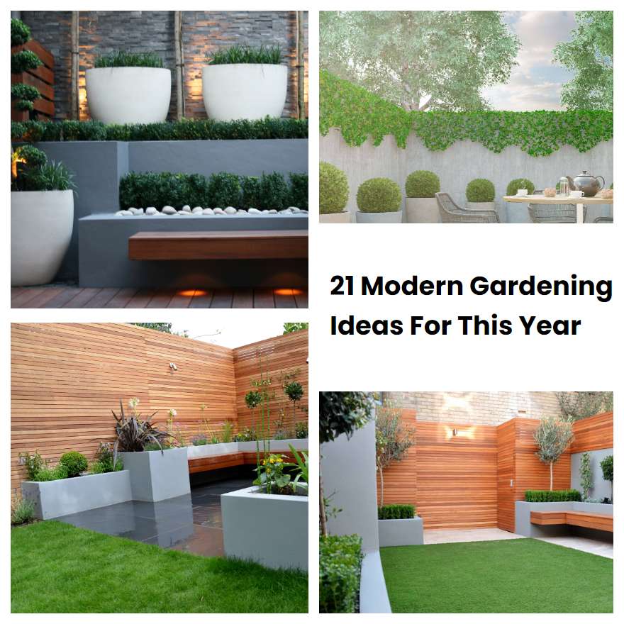 21 Modern Gardening Ideas For This Year | SharonSable