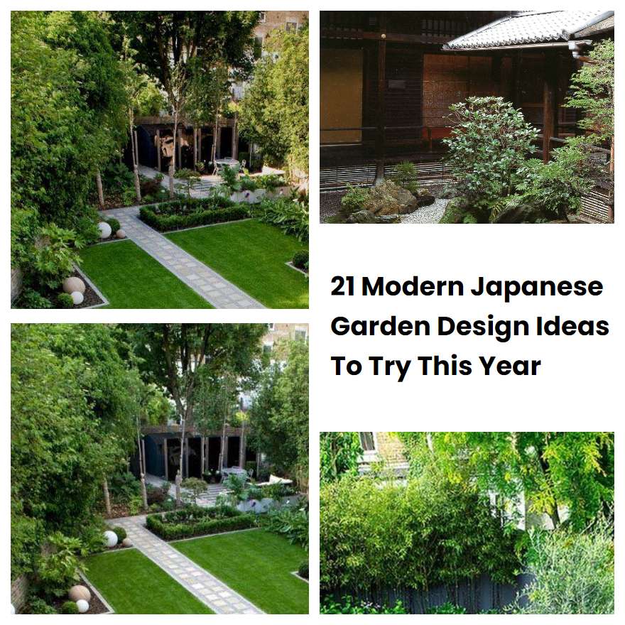 21 Modern Japanese Garden Design Ideas To Try This Year | SharonSable