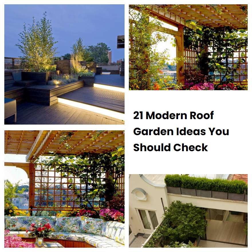 Modern Roof Garden Ideas