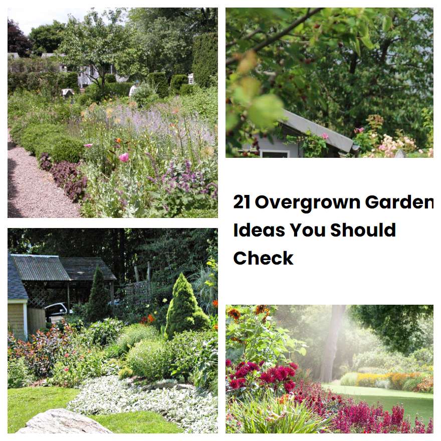 21 Overgrown Garden Ideas You Should Check | SharonSable