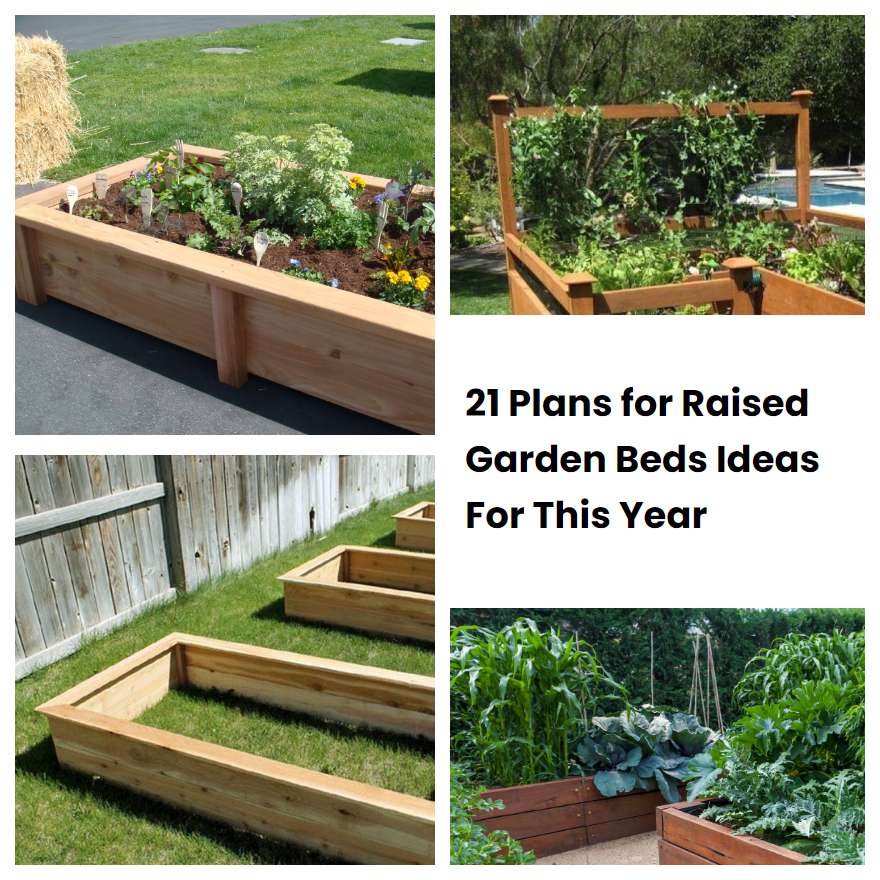 21 Plans for Raised Garden Beds Ideas For This Year | SharonSable