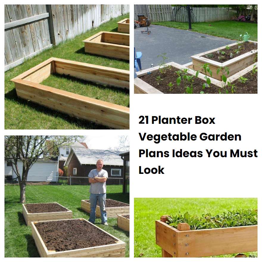 21 Planter Box Vegetable Garden Plans Ideas You Must Look | SharonSable