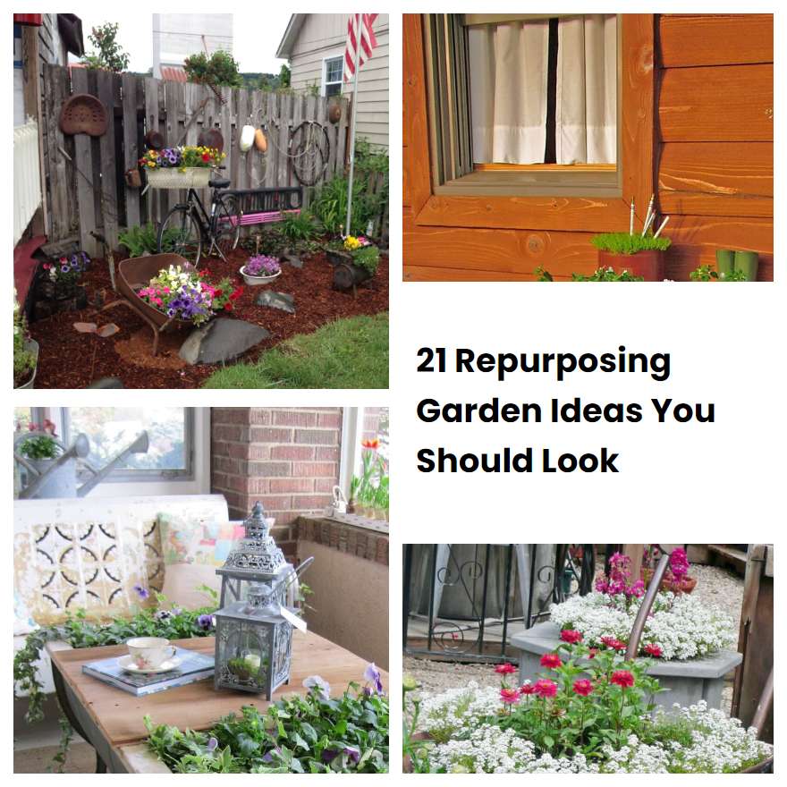 21 Repurposing Garden Ideas You Should Look Sharonsable