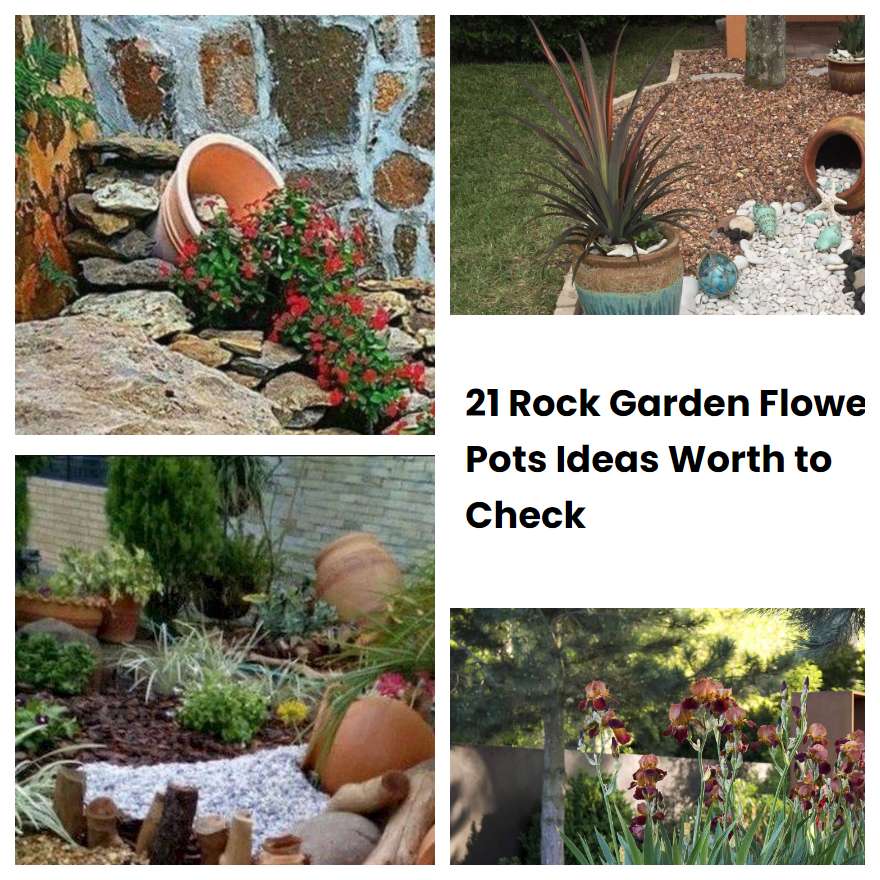 21 Rock Garden Flower Pots Ideas Worth to Check | SharonSable