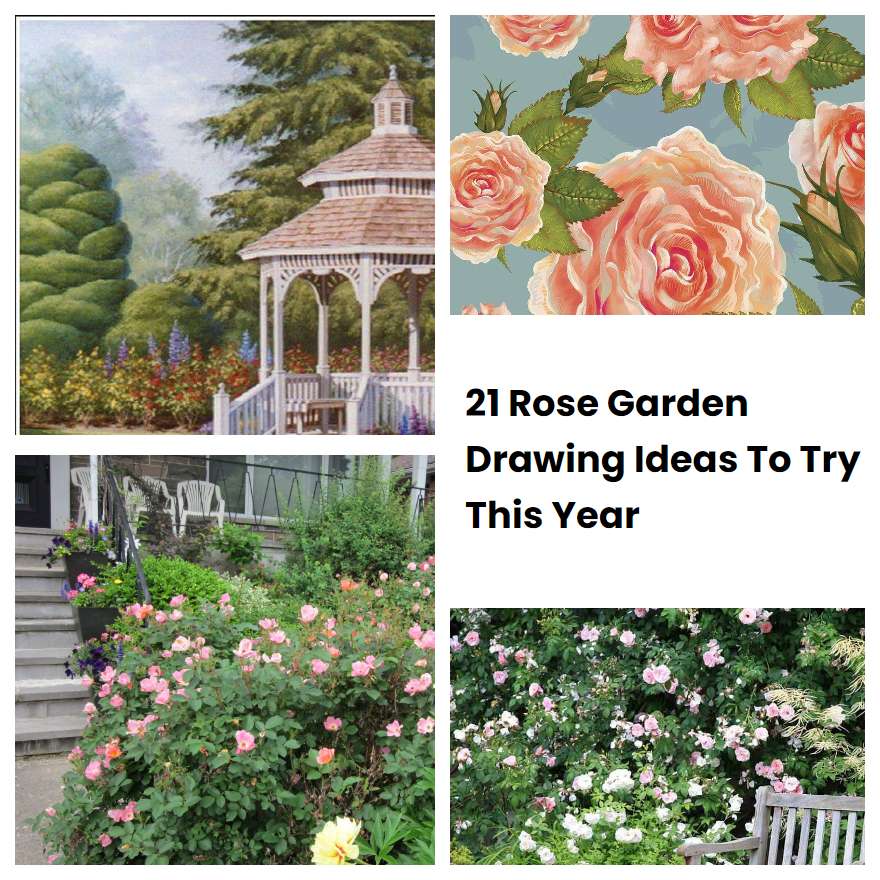 21 Rose Garden Drawing Ideas To Try This Year | SharonSable