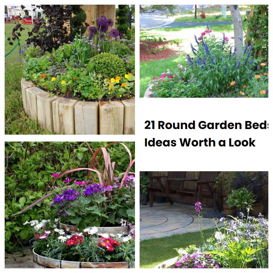 21 Round Garden Beds Ideas Worth A Look Sharonsable