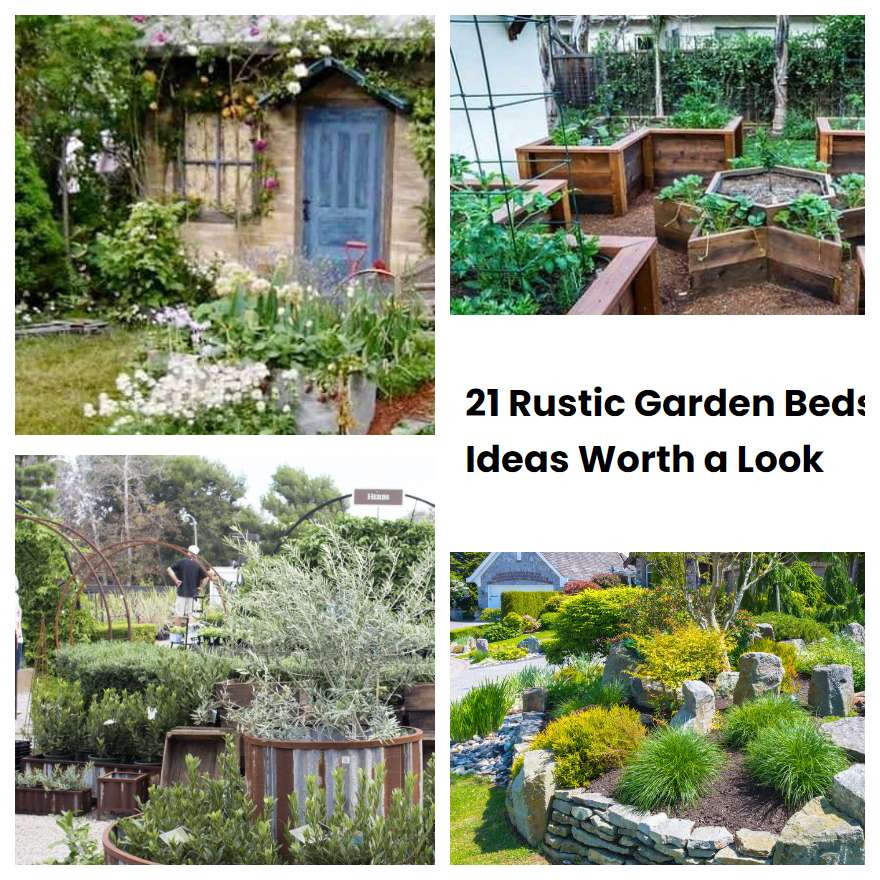 21 Rustic Garden Beds Ideas Worth A Look Sharonsable