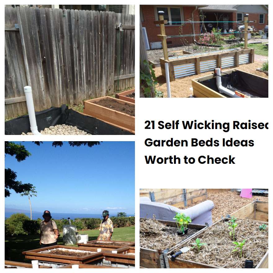 21 Self Wicking Raised Garden Beds Ideas Worth to Check | SharonSable