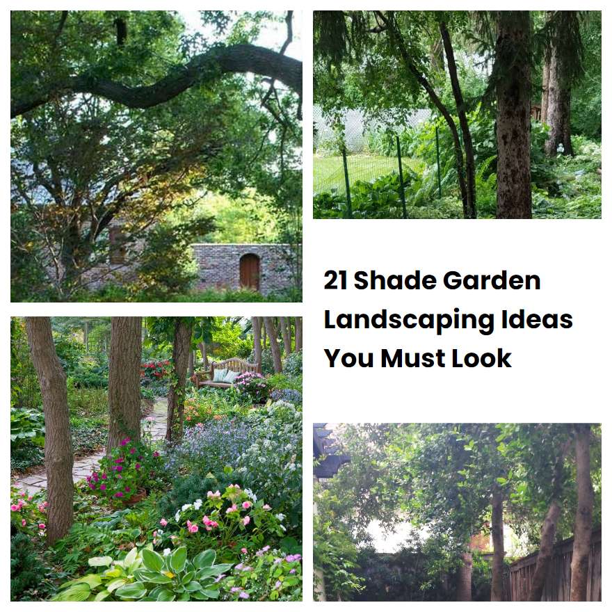 21 Shade Garden Landscaping Ideas You Must Look | SharonSable