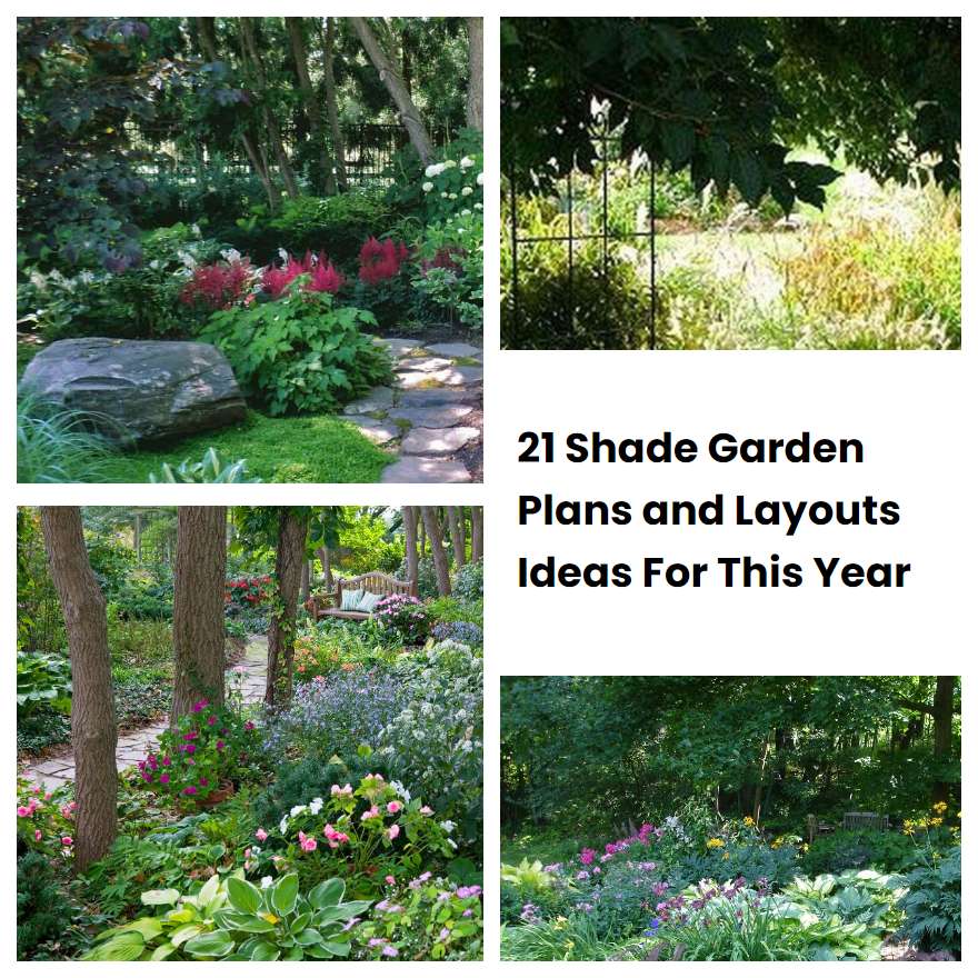 21 Shade Garden Plans and Layouts Ideas For This Year